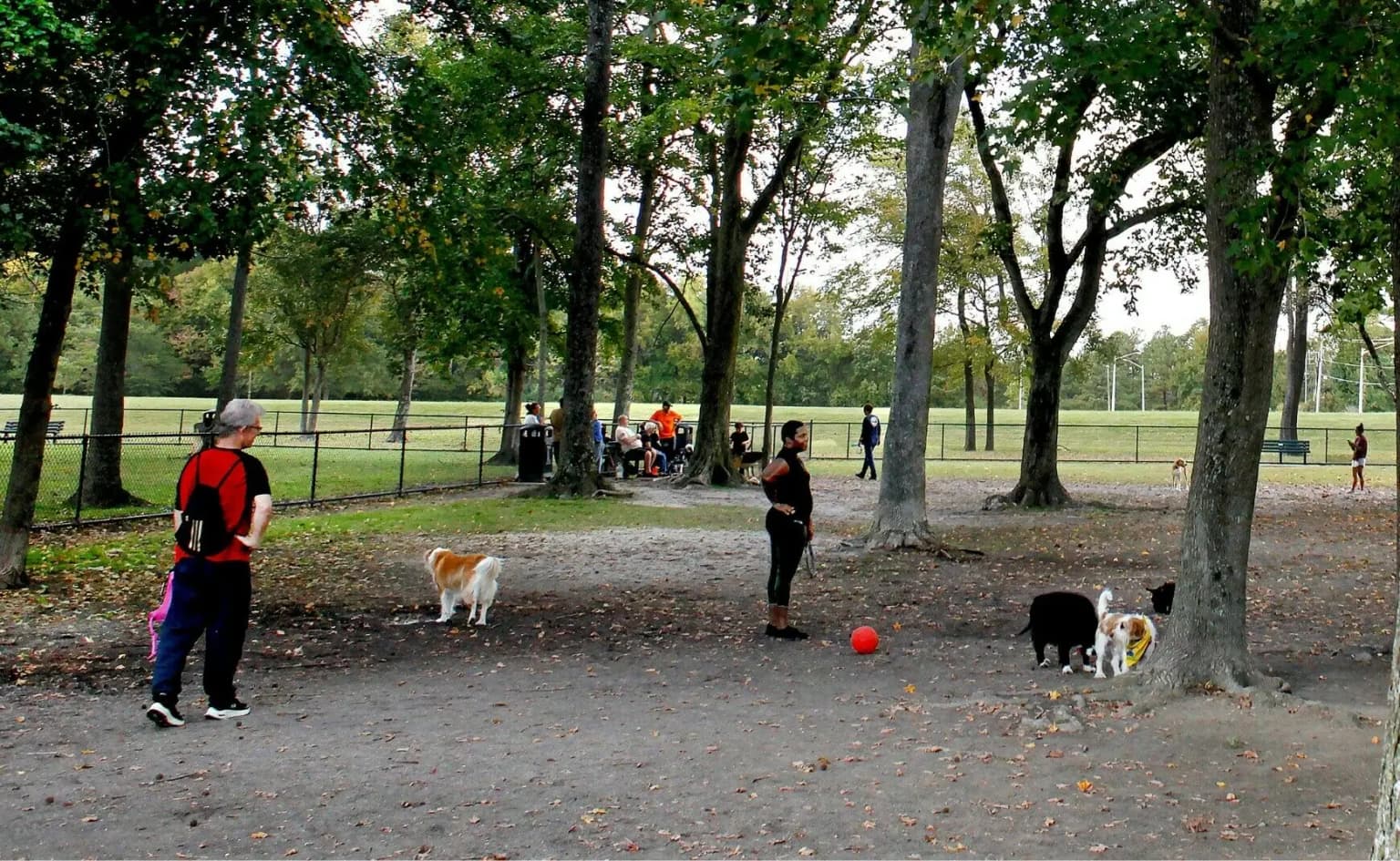 A Dog-Friendly Day in Virginia Beach: Parks, Patios, and Cleanup Habits Dog-friendly outdoor area in Virginia Beach