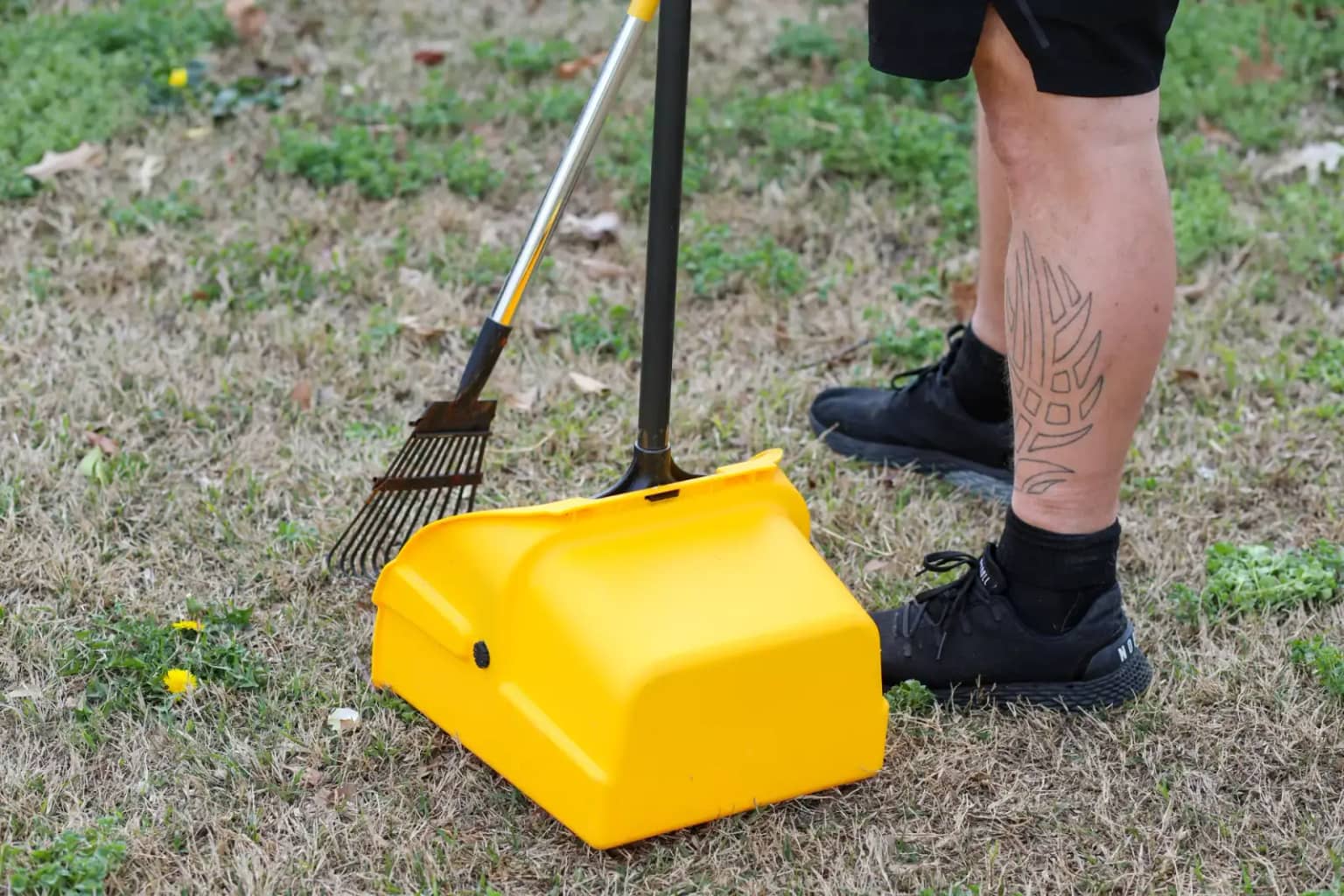 Doggy Scoop yard cleanup service proof Doggy Scoop cleanup tool removing dog waste from a residential yard