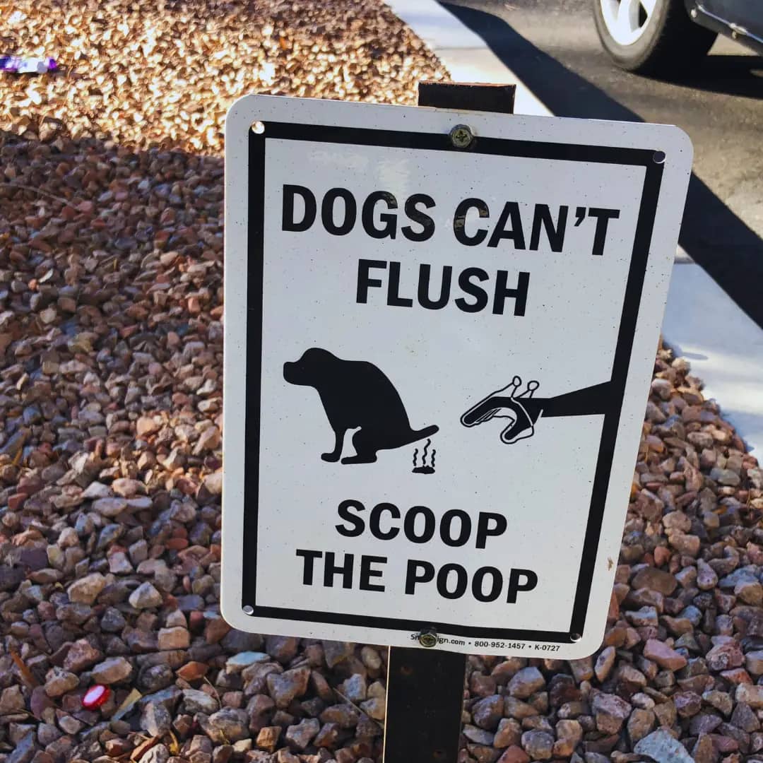 What It's Like Owning a Poop Removal Business in Virginia Beach What It's Like Owning a Poop Removal Business in Virginia Beach