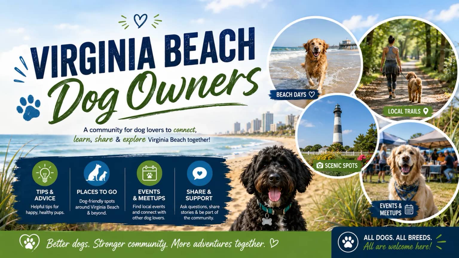 Virginia Beach Dog Owners community Happy dog running through a clean Virginia Beach yard